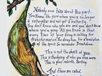 Pulling back the veil on our illusions, delusions, and other enchantments.