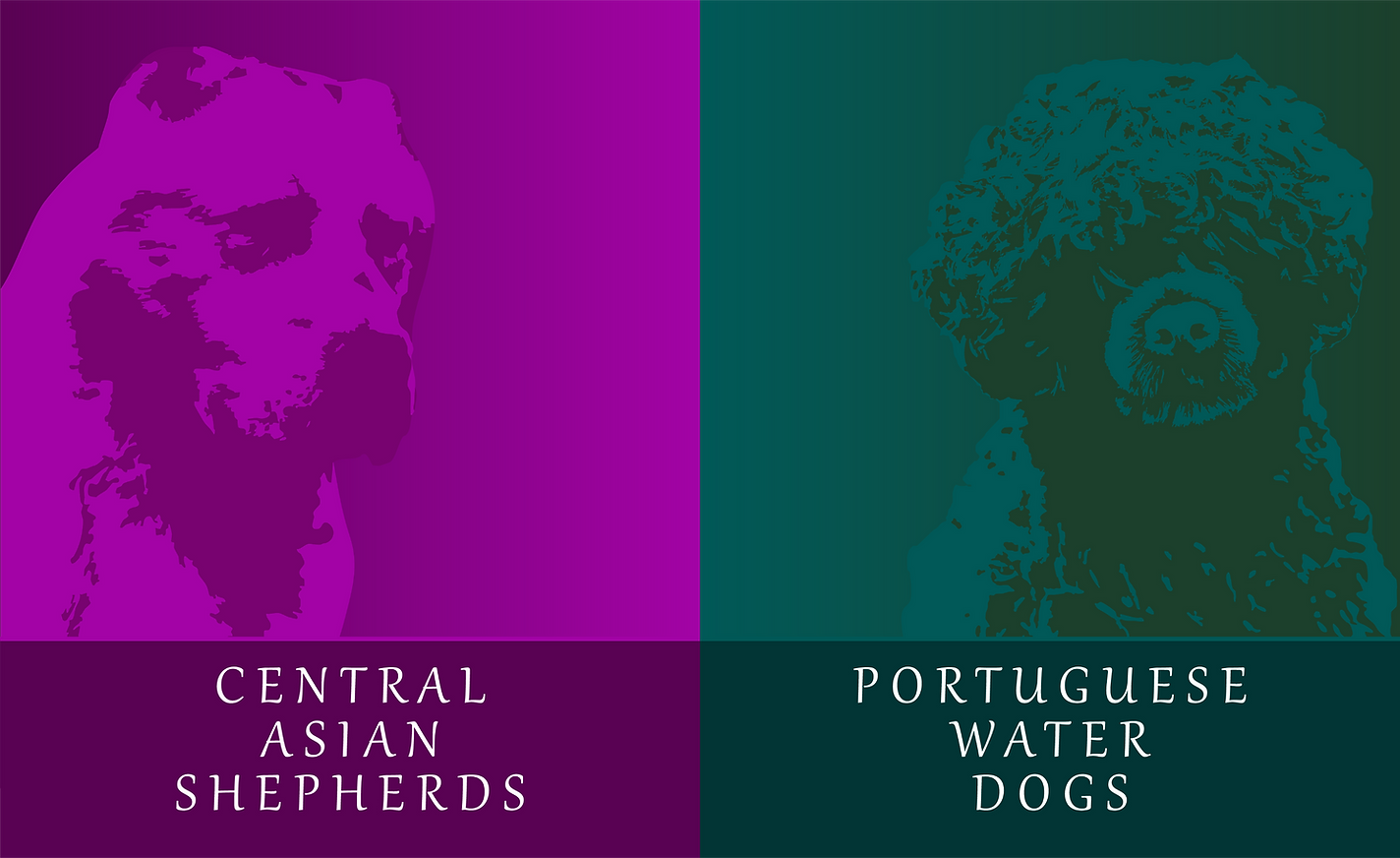 Ascent WELCOME FULL_edited.png