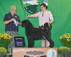 Maz New CH Evergreen2022