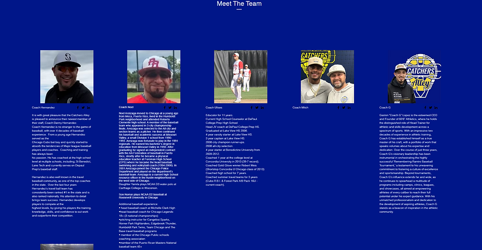 Catcher's Alley Meet the Team Original