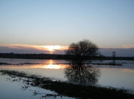 Marais site.JPG