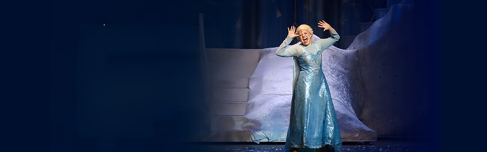 Fine Arts Web Banner frozen.png