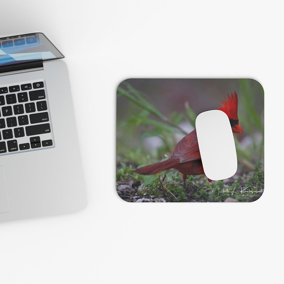 Thumbnail: Laptop, mousepad with red cardinal, white mouse