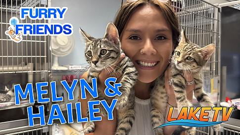 Lake of the Ozarks video coverage of Melyn, Hailey, and kittens.