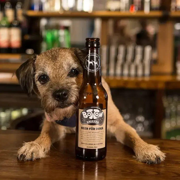 Thumbnail: Bottom Sniffer Beer For Dogs