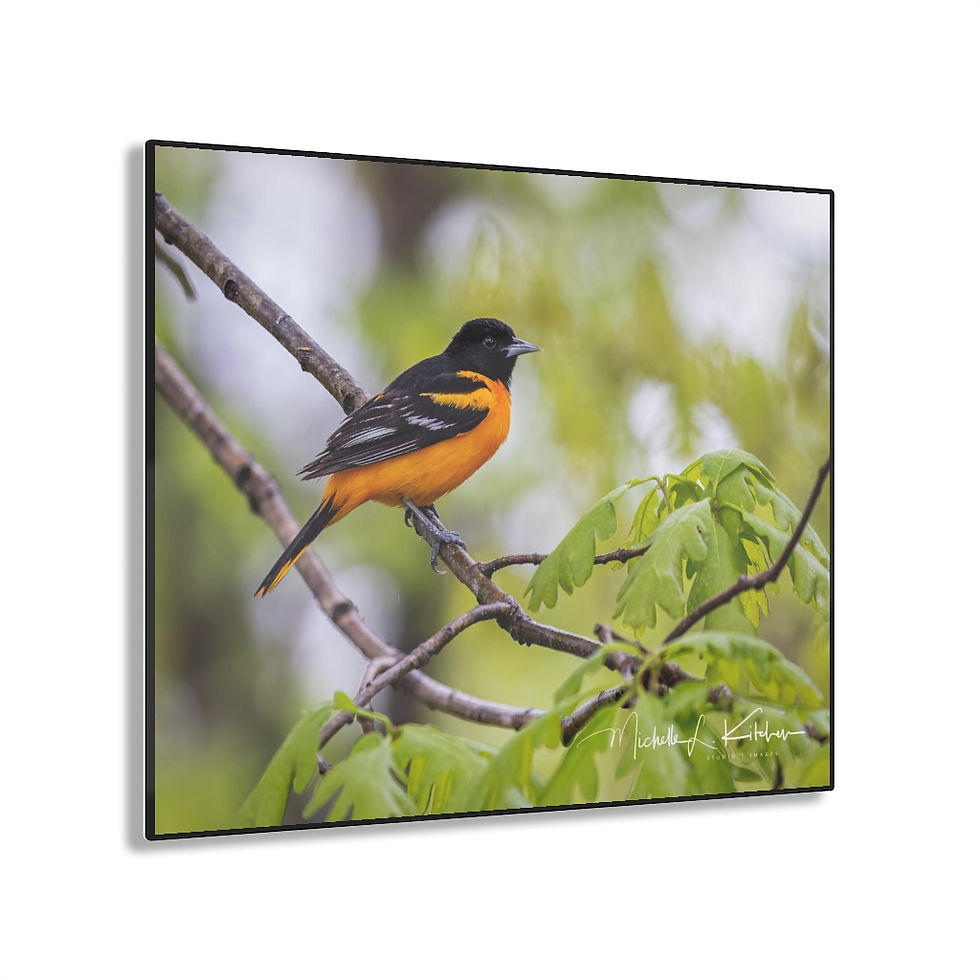 Thumbnail: Acrylic Prints