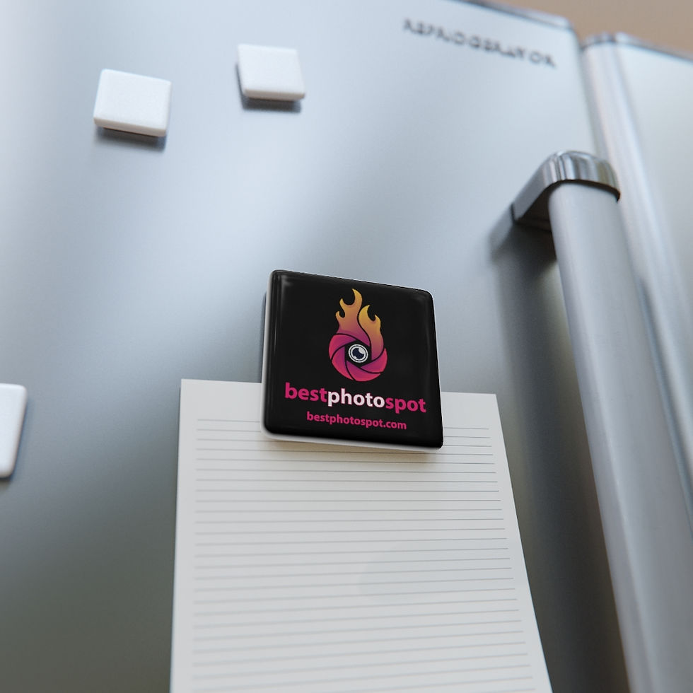 Thumbnail: bestphotospot magnet on fridge