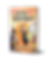Book cover witchn 2 png.png