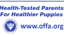 deecor goldendoodles