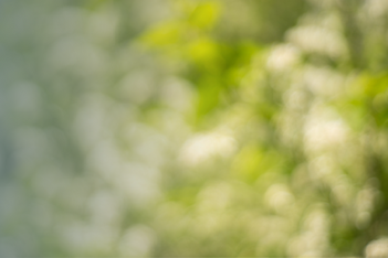 FHNC header background.png