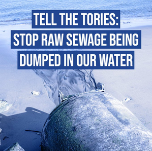 Tell the Tories - Stop Raw Sewage being Dumped in Our Water