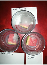 Pyramid Experiment: Watermelon--Day 9