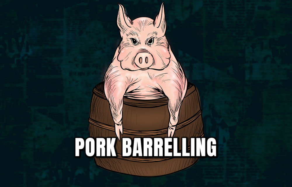 The Legality of Pork Barrelling The Facts