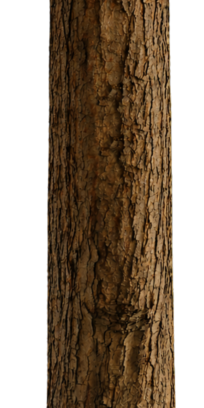 Beckermann - Grafik (13).png
