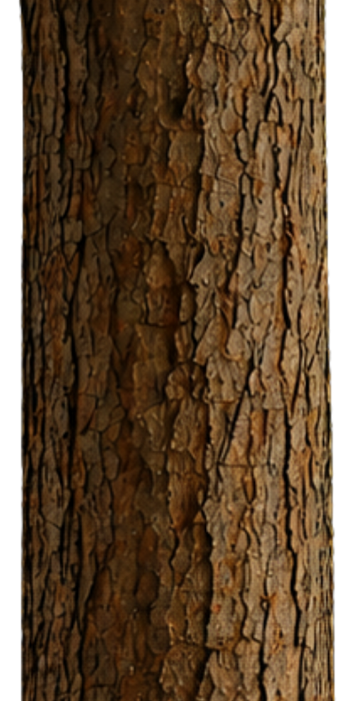 Beckermann - Grafik (13).png