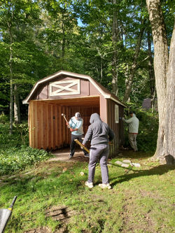 shed removal