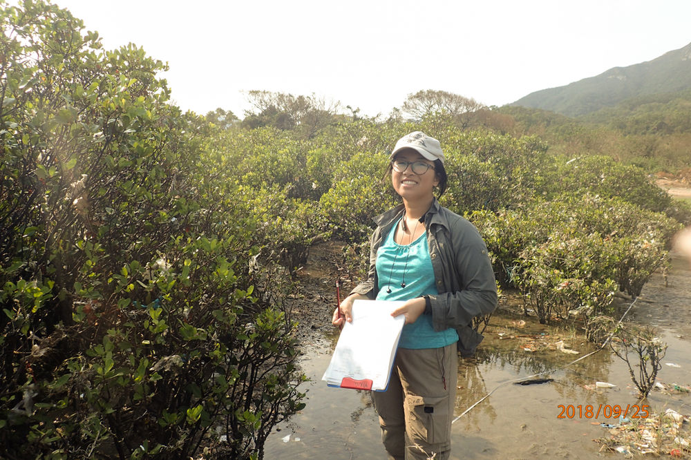 Dance your dissertation image