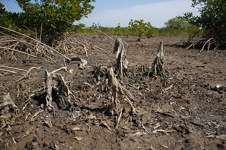 Global warming-Climate change.jpeg