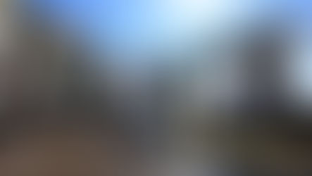 Тамара Щелова-Милихикер