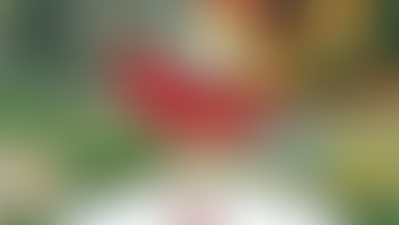 Юлия Добродей/Кушнер ПРОЗА