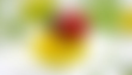 Раиса Русакова "Божия коровка"