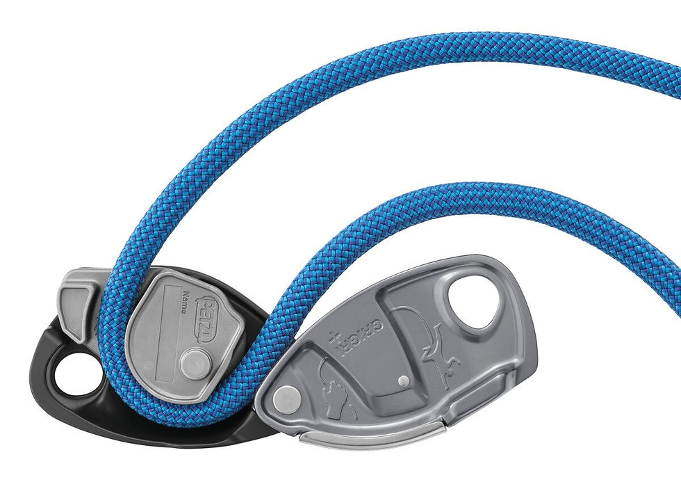 PETZL GRI GRI+