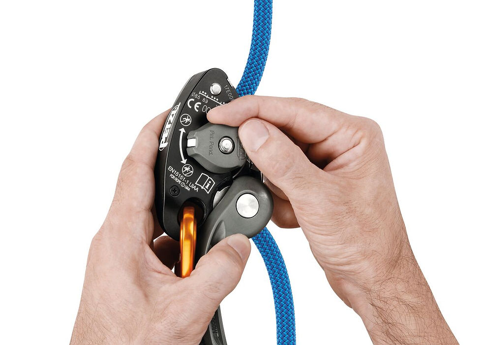 PETZL GRI GRI+