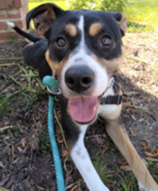 One year old, female, Mixed/Medium