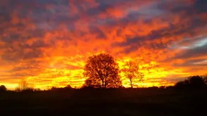 Something About Hope