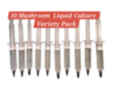Ultimate 10 Mushroom Culture Pack