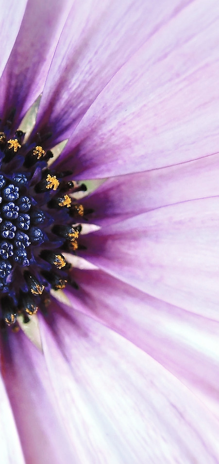shutterstock_374251-retouch2-crop_edited