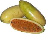 curuba 1