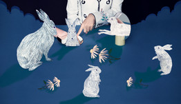 Rabbits in wonderland