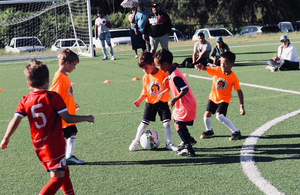 Polk Orange Soccer Club player 1