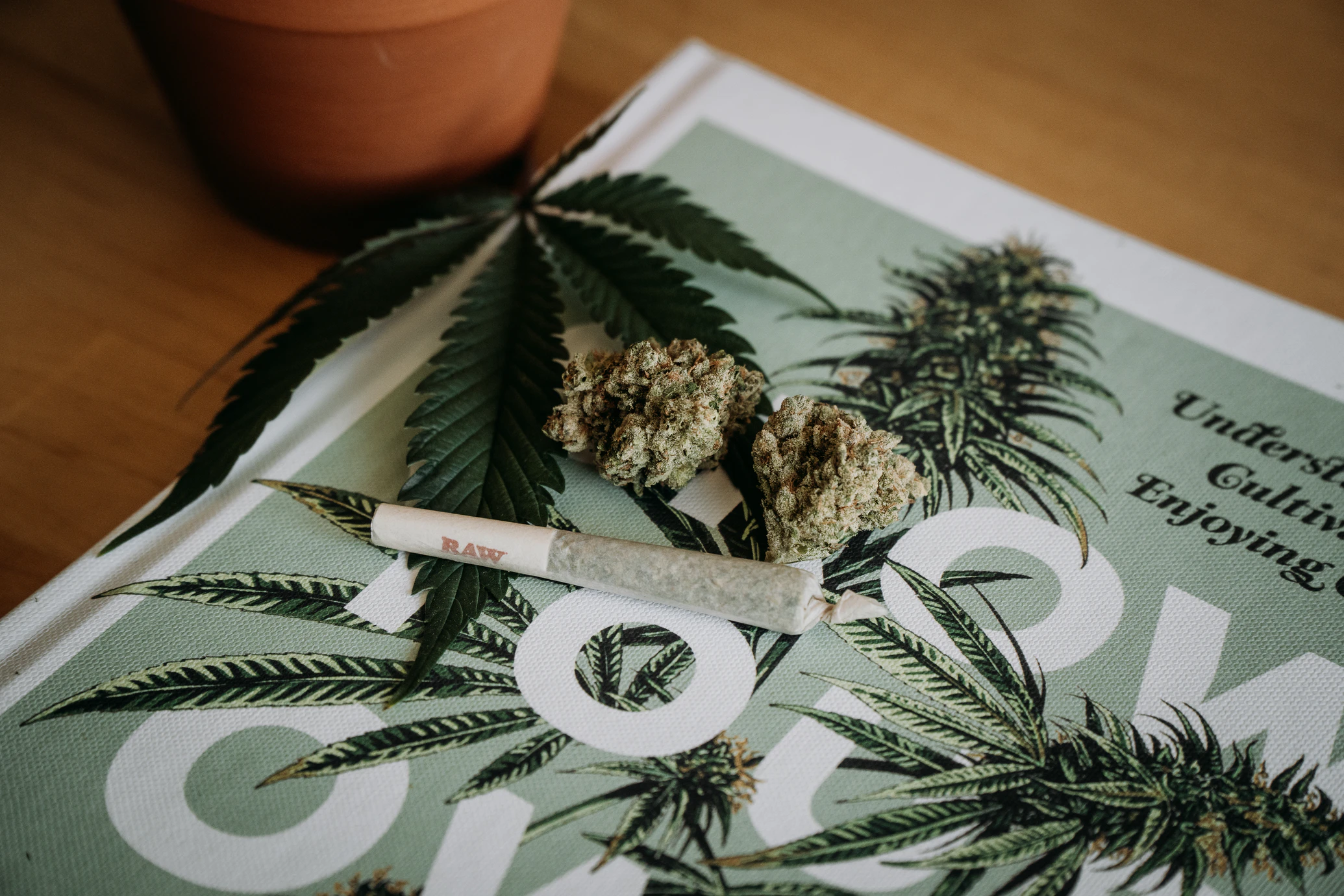 Marijauana joint on top of a book for Hopscotch moodboard by House of Marketing in Richmond, Virginia