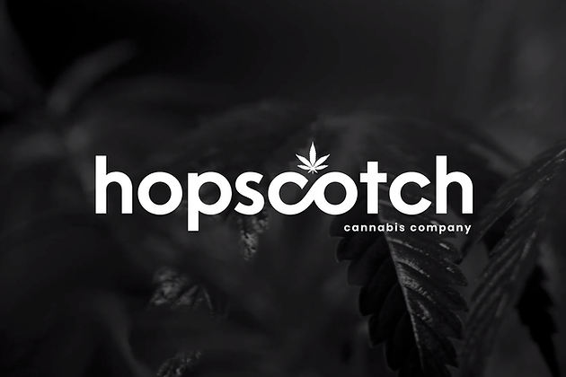 Hopscotch logo in white on top of black and white photo of cannabis leaves designed by House of Marketing in Richmond, Virginia