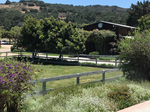 Varian Equestrian Stallion Barn and Pasture