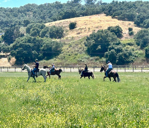 Varian Equestrian Trail Rid
