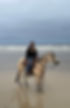 IMG_9804.jpeg