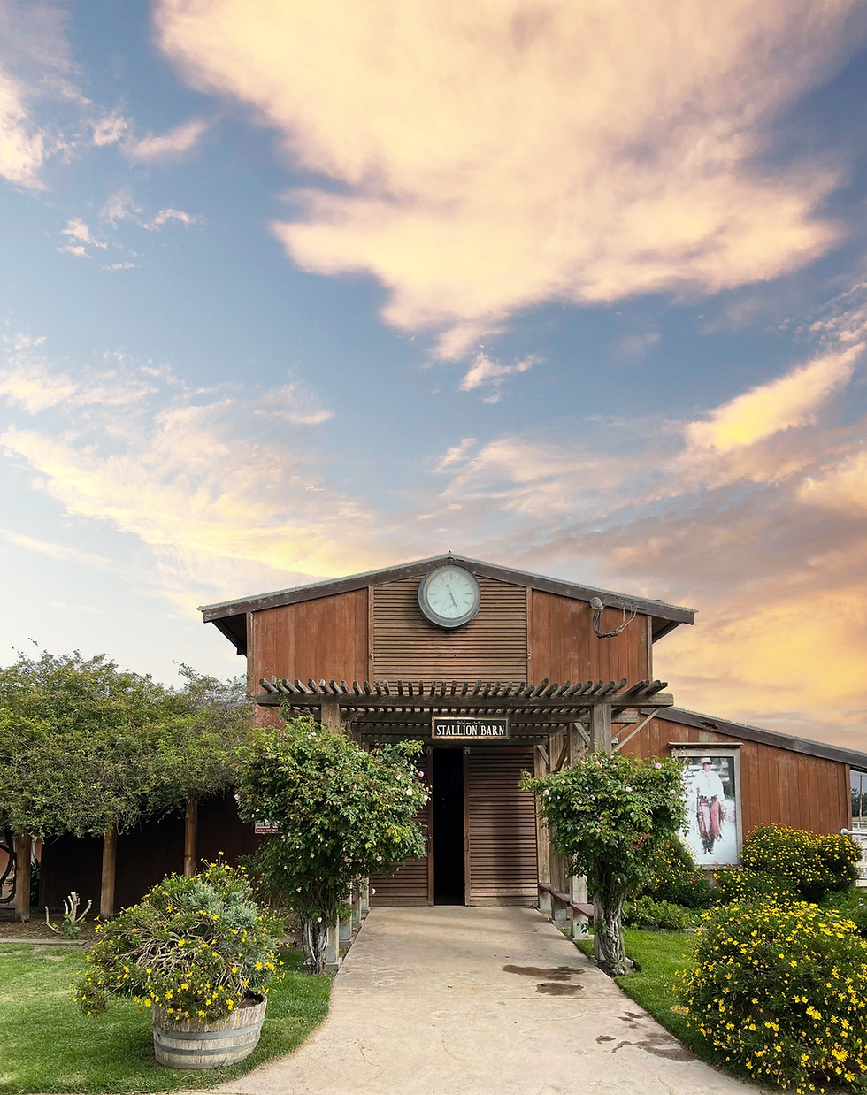 varian equestrian stallion barn against sky
