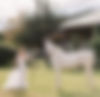 TheRanchatBayAbiLanebyNikkelsPhotography-269_edited.jpg