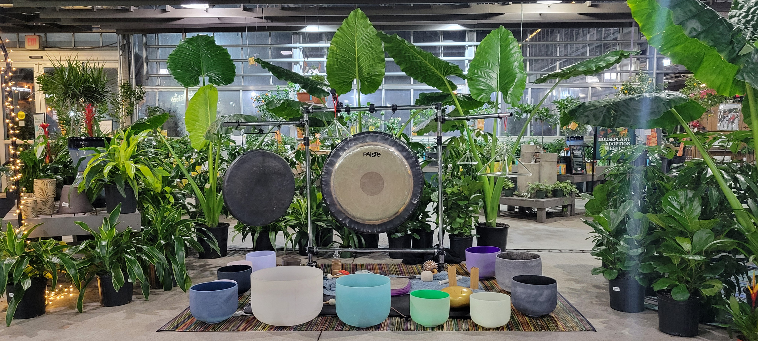 Sound Healer Certification Programs