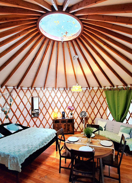 20251108_135350 (2).jpg