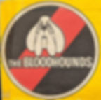 The Bloods
