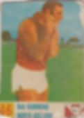 Bob Hammond