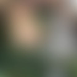 The Content of Contentment: A Year in Review