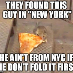 Who Is A New Yorker?
