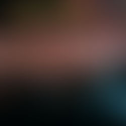 Review: Innings Fest 2026