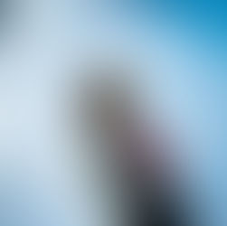 Festival Recap: Firefly Festival 2022