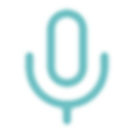 icon_mic.png
